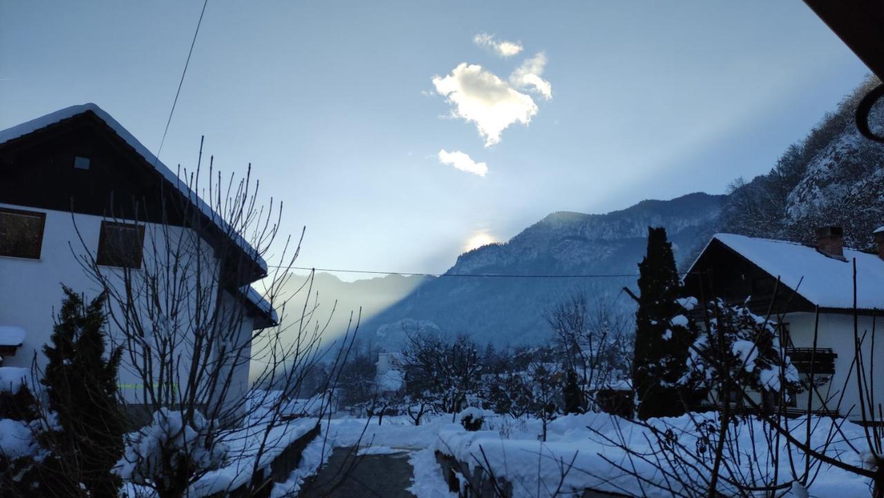 Alp House Hotel Bohinjska Bela Exterior foto