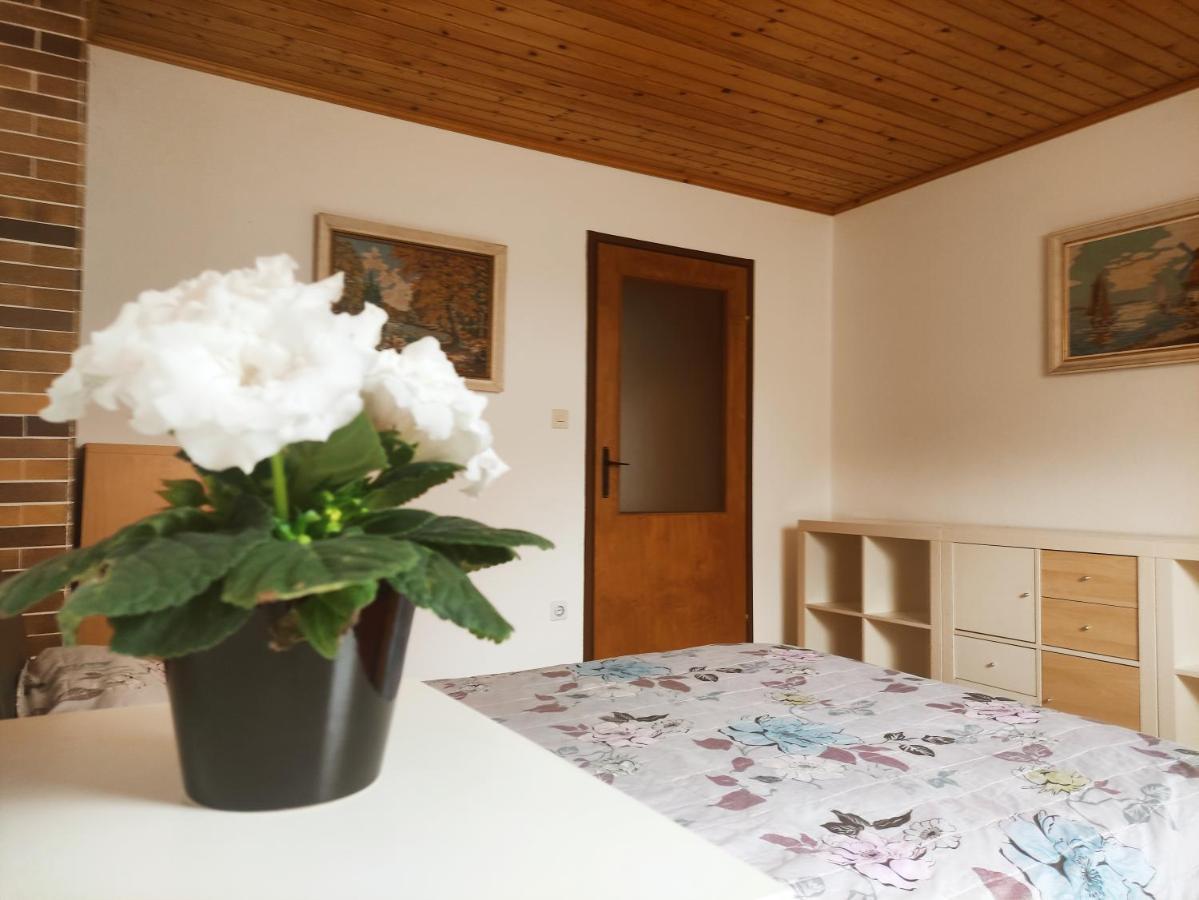 Alp House Hotel Bohinjska Bela Exterior foto